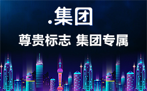 集團域名